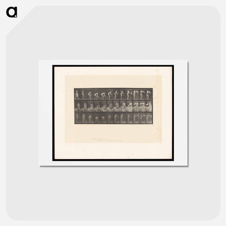 アートポストカード-The Flower Basket
 - エドワード マイブリッジ Postcard.