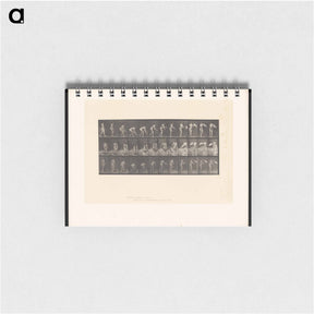 アートメモ帳-The Flower Basket
 - エドワード マイブリッジ Memo.