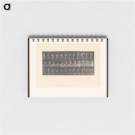 アートメモ帳-The Flower Basket
 - エドワード マイブリッジ Memo.