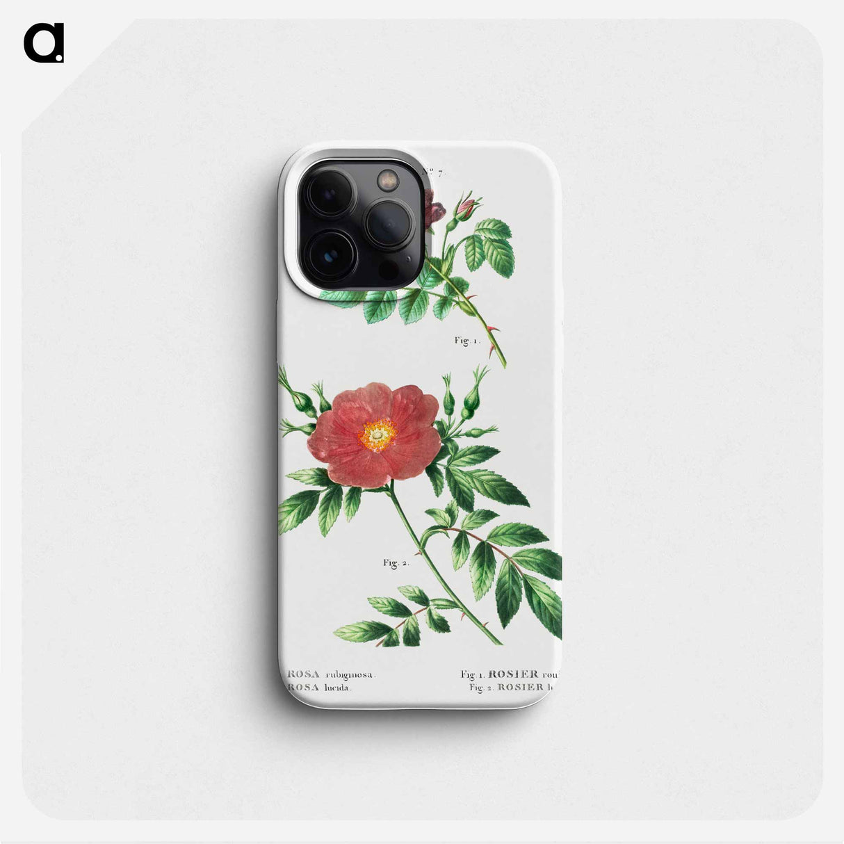 Sweetbriar rose (Rosa rubiginosa) 2. Virginia rose (Rosa lupida) - ピエール ジョゼフ ルドゥーテ Phone Case.