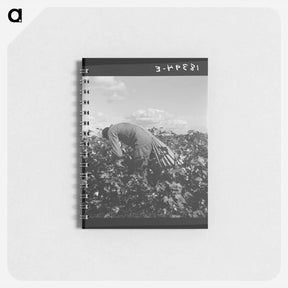 アートメモ帳-Untitled photo - ドロテア ラング Memo.