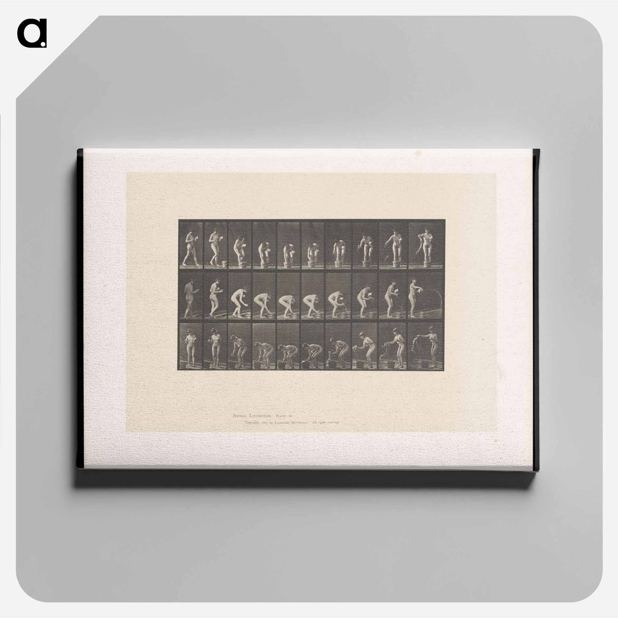 アートパネル-Naked Woman Rinsing Glass
 - エドワード マイブリッジ Canvas.