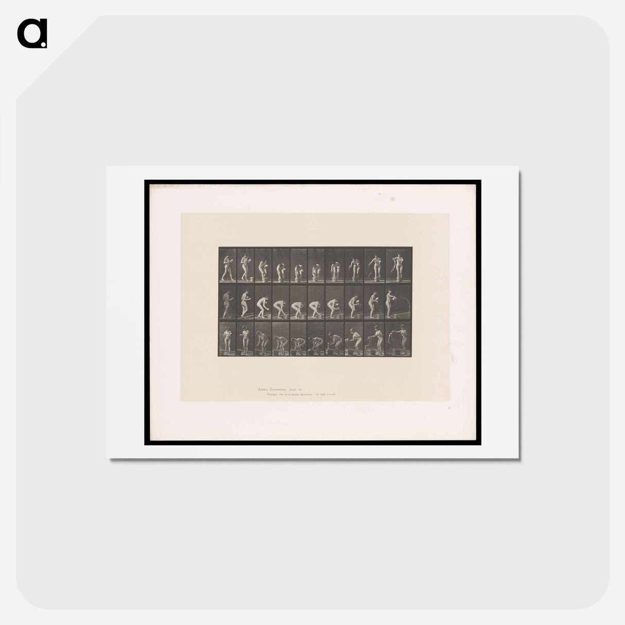 アートポストカード-Naked Woman Rinsing Glass
 - エドワード マイブリッジ Postcard.