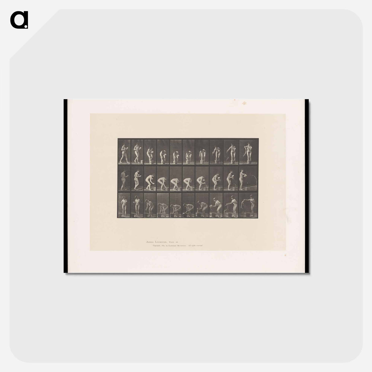 アートポストカード-Naked Woman Rinsing Glass
 - エドワード マイブリッジ Postcard.
