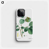 Mountain alder - Pierre Joseph Redouté Phone Case.
