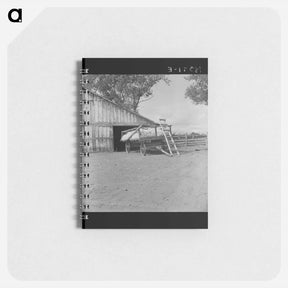アートメモ帳-Untitled photo - ドロテア ラング Memo.