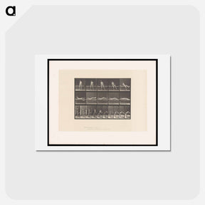 アートポストカード-Man on a Bed
 - エドワード マイブリッジ Postcard.