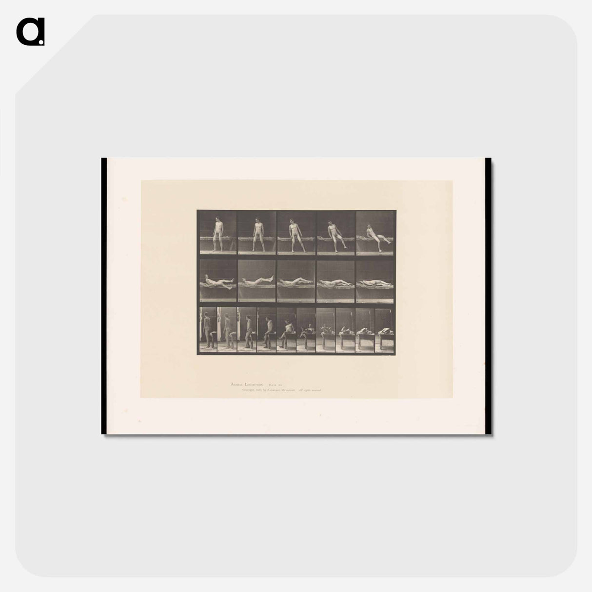 アートポストカード-Man on a Bed
 - エドワード マイブリッジ Postcard.