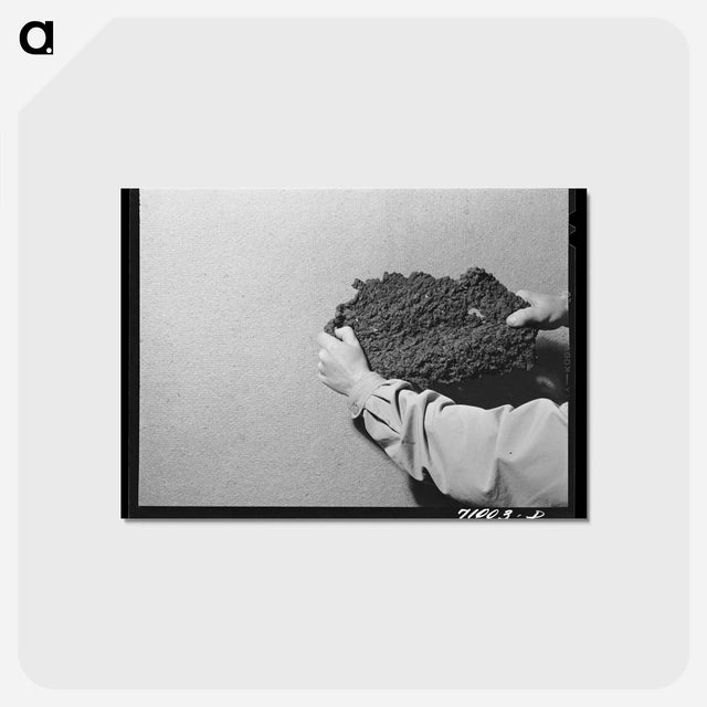 アートポストカード-Guayule Rubber Production
 - ラッセル リー Postcard.