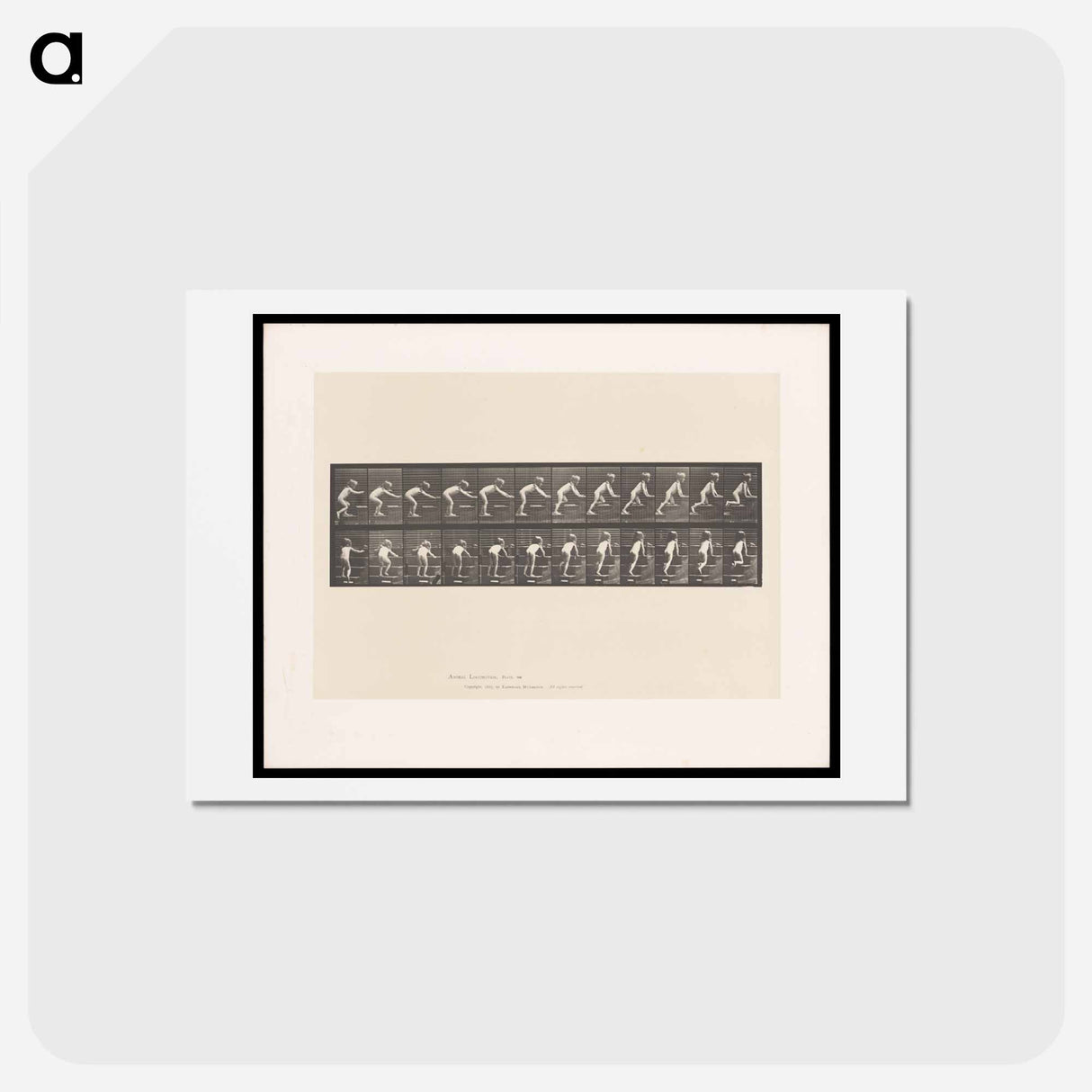 アートポストカード-Crawling Up Stairs
 - エドワード マイブリッジ Postcard.