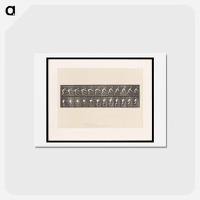アートポストカード-Crawling Up Stairs
 - エドワード マイブリッジ Postcard.