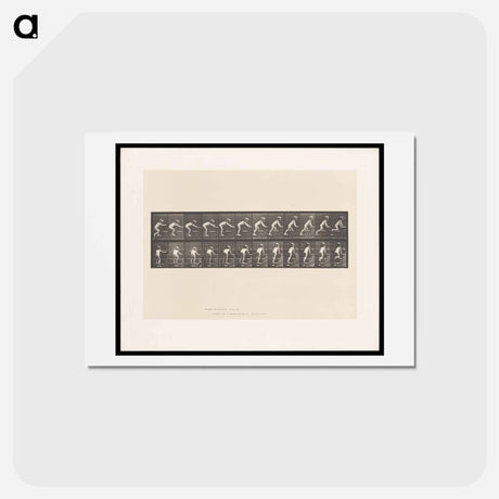 アートポストカード-Crawling Up Stairs
 - エドワード マイブリッジ Postcard.