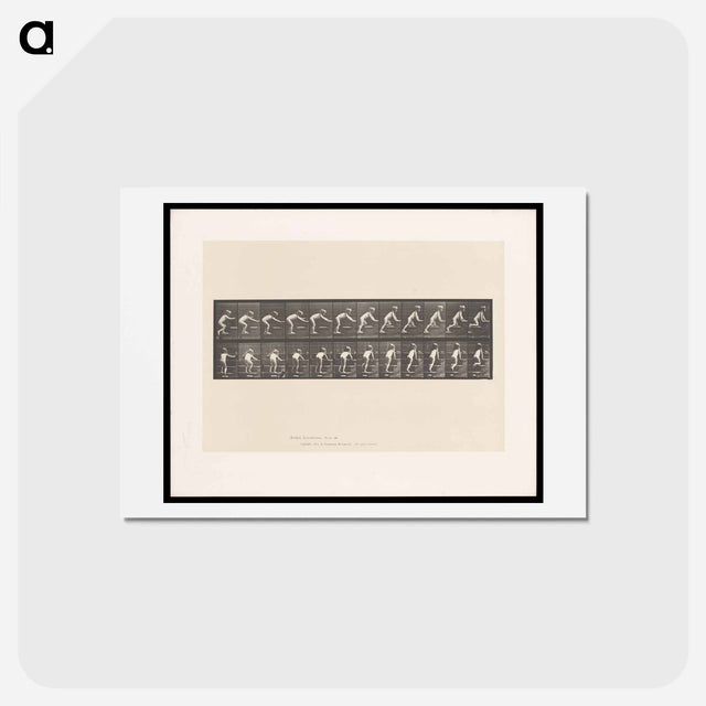 アートポストカード-Crawling Up Stairs
 - エドワード マイブリッジ Postcard.
