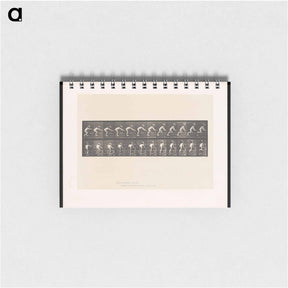 アートメモ帳-Crawling Up Stairs
 - エドワード マイブリッジ Memo.