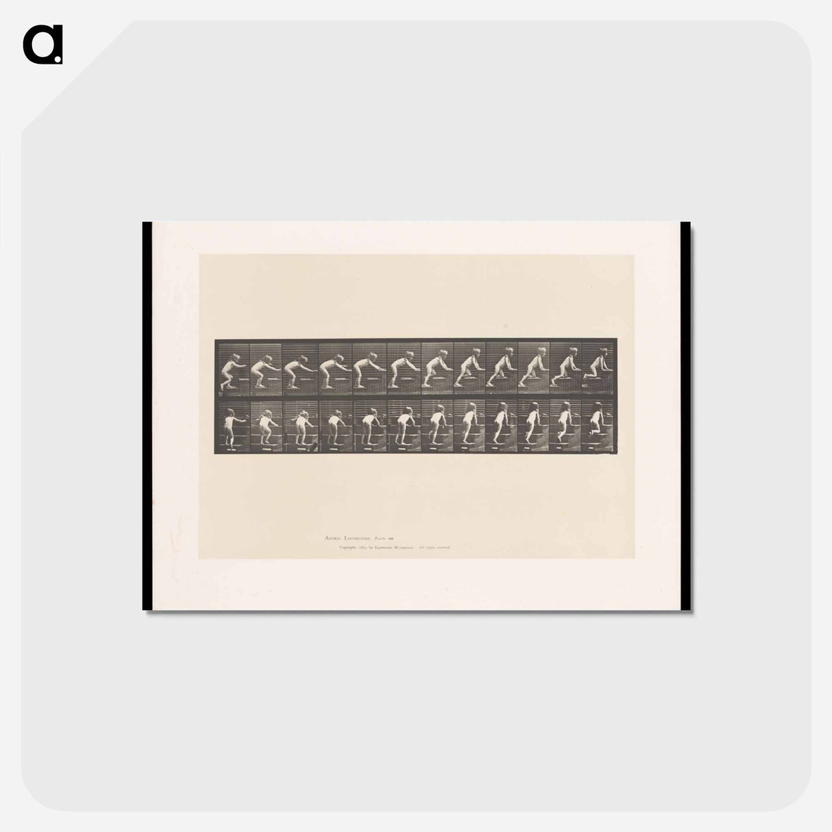 アートポストカード-Crawling Up Stairs
 - エドワード マイブリッジ Postcard.
