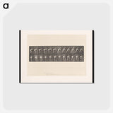 アートポストカード-Crawling Up Stairs
 - エドワード マイブリッジ Postcard.