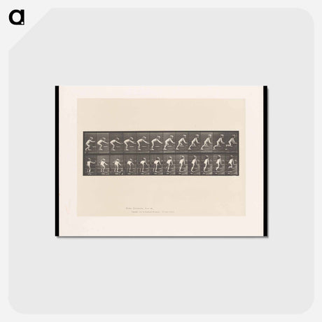 アートポストカード-Crawling Up Stairs
 - エドワード マイブリッジ Postcard.