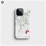 Asparagus fern illustration - ピエール ジョゼフ ルドゥーテ Phone Case.