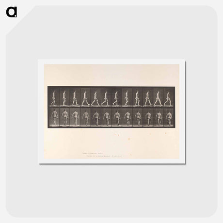 アートポストカード-Naked Man Walking
 - エドワード マイブリッジ Postcard.