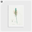 アートポストカード-Agave yuccaefolia illustration from Les liliacées - ピエール ジョゼフ ルドゥーテ Postcard.