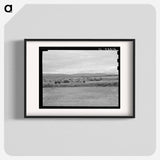 View of first FSA mobile camp unit in Klamath Basin, Oregon - Dorothea Lange Poster.