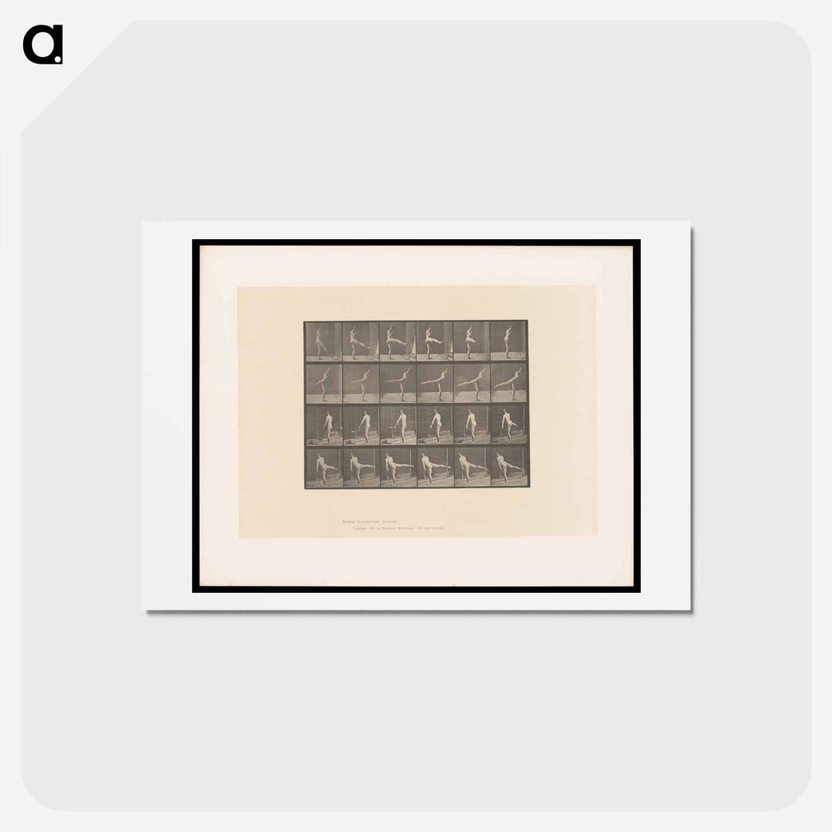 アートポストカード-Rotating Motion
 - エドワード マイブリッジ Postcard.