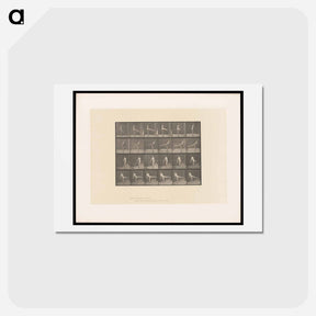 アートポストカード-Rotating Motion
 - エドワード マイブリッジ Postcard.