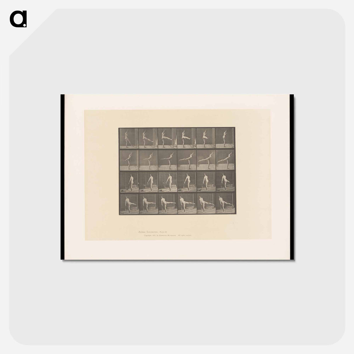 アートポストカード-Rotating Motion
 - エドワード マイブリッジ Postcard.