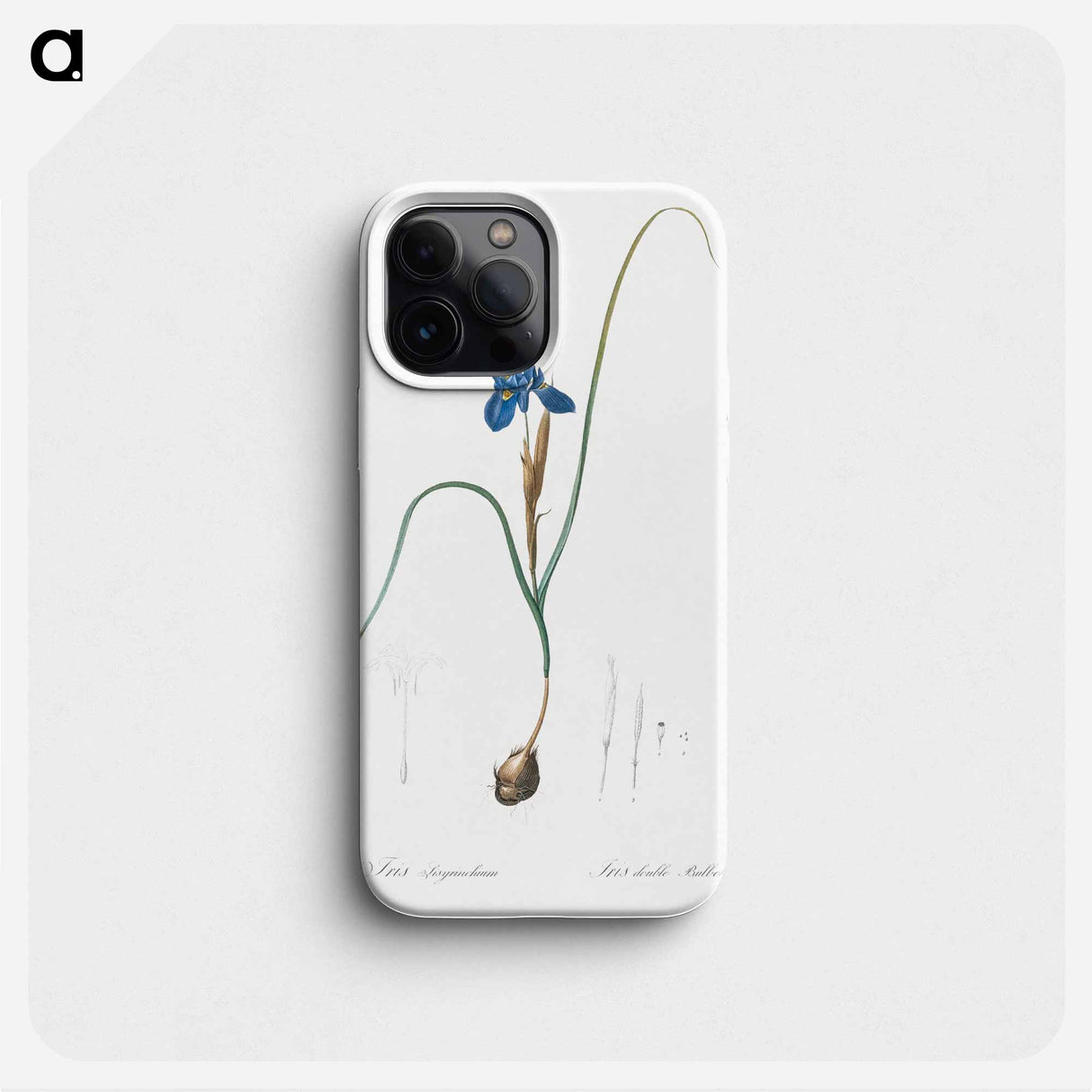 Barbary Nut - Pierre Joseph Redouté Phone Case.