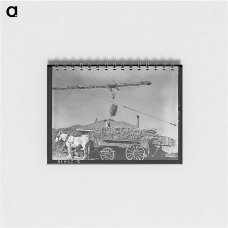 アートメモ帳-Tenant Farmer Repapering
 - ラッセル リー Memo.