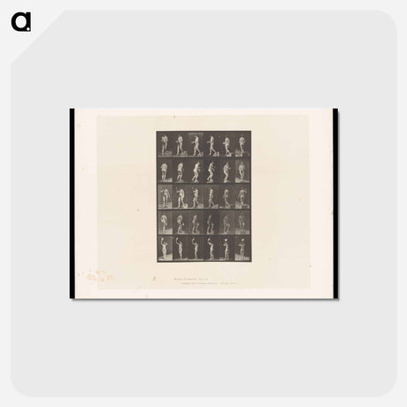 アートポストカード-Woman Descending
 - エドワード マイブリッジ Postcard.