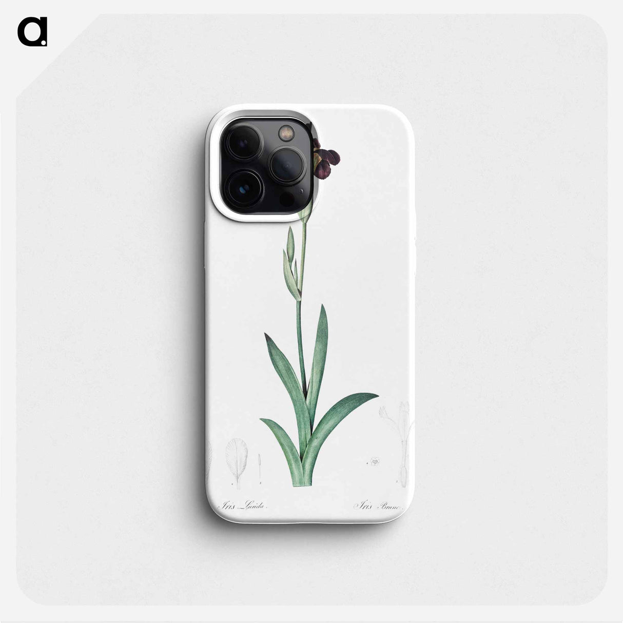 Dingy flag iris illustration from Les liliacées - ピエール ジョゼフ ルドゥーテ Phone Case.