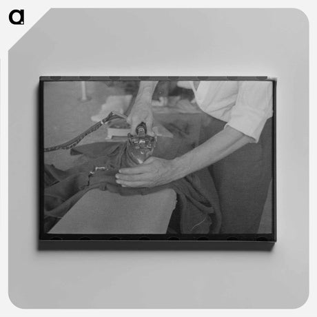 アートパネル-Cutting Out the Uppers
 - ラッセル リー Canvas.