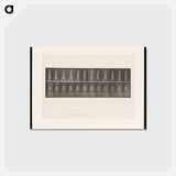 アートポストカード-Naked Man Walking
 - エドワード マイブリッジ Postcard.