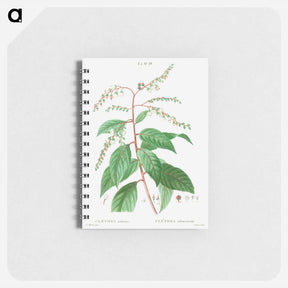 アートメモ帳-Lily of the valley tree - ピエール ジョゼフ ルドゥーテ Memo.