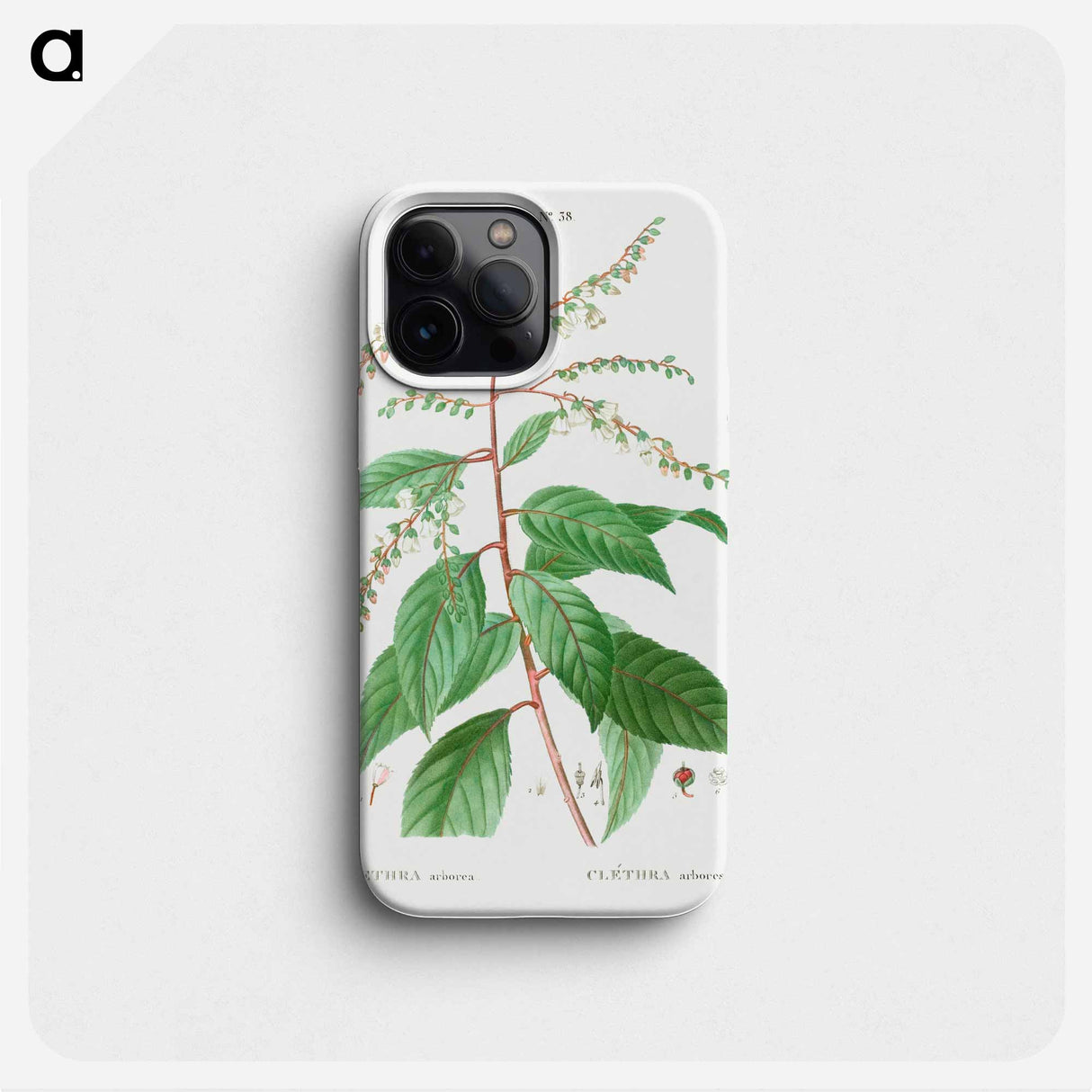 Lily of the valley tree - Pierre Joseph Redouté Phone Case.