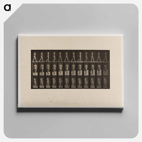 アートパネル-Naked Woman Walking
 - エドワード マイブリッジ Canvas.