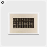 アートポストカード-Naked Woman Walking
 - エドワード マイブリッジ Postcard.