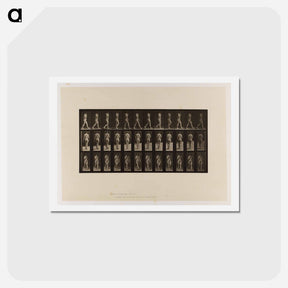 アートポストカード-Naked Woman Walking
 - エドワード マイブリッジ Postcard.