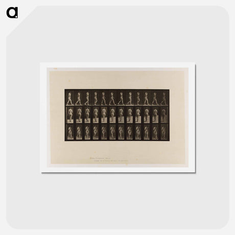 アートポストカード-Naked Woman Walking
 - エドワード マイブリッジ Postcard.