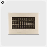 アートポストカード-Naked Woman Walking
 - エドワード マイブリッジ Postcard.