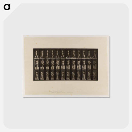 アートポストカード-Naked Woman Walking
 - エドワード マイブリッジ Postcard.