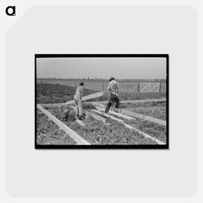 アートポストカード-Barn Erection
 - ラッセル リー Postcard.
