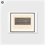 アートポストカード-Woman with Basket
 - エドワード マイブリッジ Postcard.