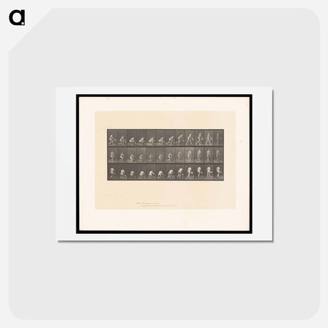 アートポストカード-Woman with Basket
 - エドワード マイブリッジ Postcard.