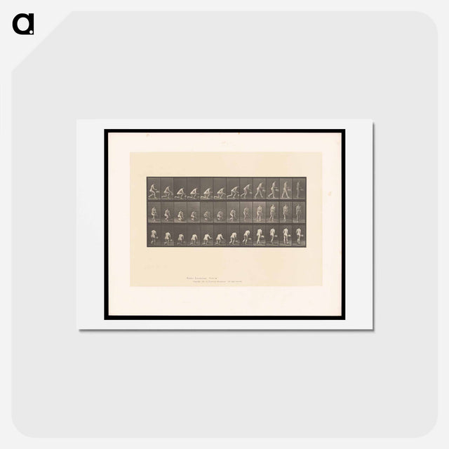 アートポストカード-Woman with Basket
 - エドワード マイブリッジ Postcard.