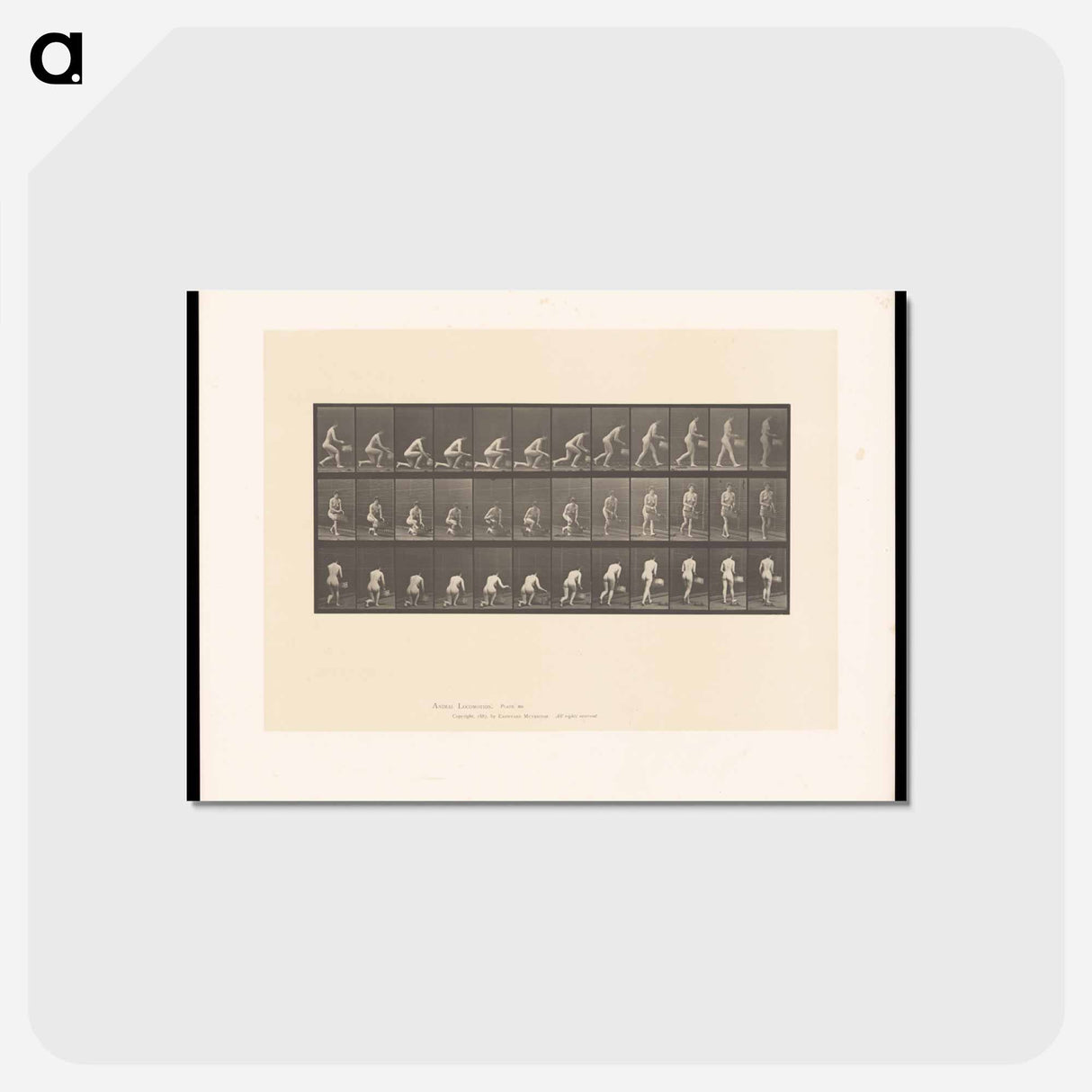アートポストカード-Woman with Basket
 - エドワード マイブリッジ Postcard.
