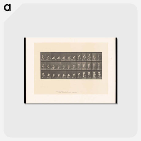 アートポストカード-Woman with Basket
 - エドワード マイブリッジ Postcard.