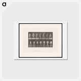アートポストカード-Naked Man Running
 - エドワード マイブリッジ Postcard.