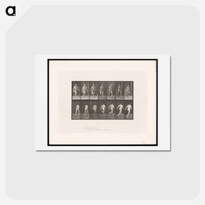 アートポストカード-Naked Man Running
 - エドワード マイブリッジ Postcard.
